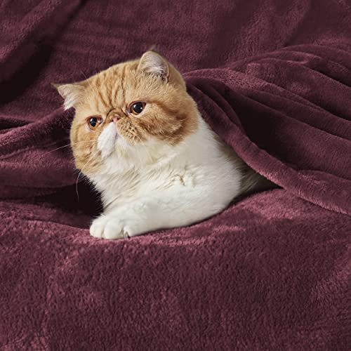 Bedsure Fleece Fire Retardant Blanket Twin Blanket Burgundy - 300GSM Soft Lightweight Plush Cozy Twin Blankets for Bed, Sofa, Couch, Travel, Camping, 60x80 inches