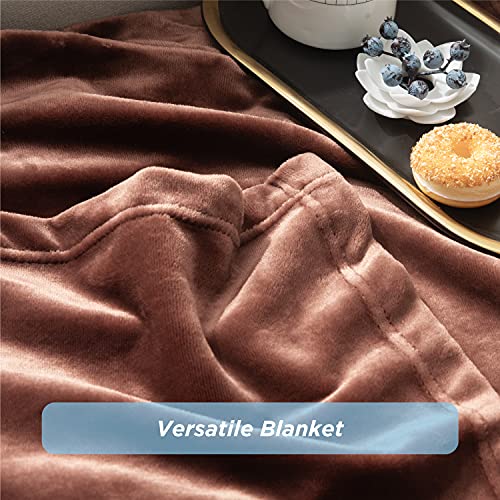 Bedsure Fleece Fire Retardant Blanket Twin Blanket Burgundy - 300GSM Soft Lightweight Plush Cozy Twin Blankets for Bed, Sofa, Couch, Travel, Camping, 60x80 inches